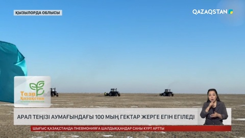 Арал қайраңына егін егеді