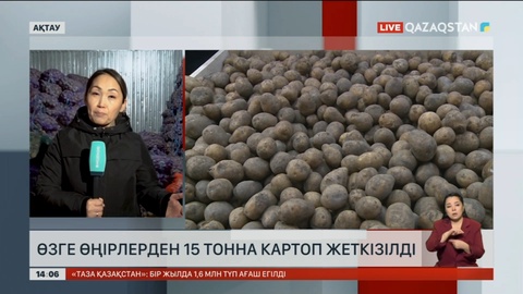Ақтауға 95 тонна картоп жеткізілді