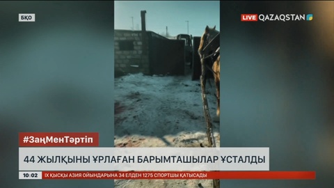 Батыс Қазақстанда 44 жылқыны ұрлап кеткен барымташылар ұсталды