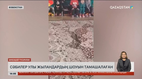 Өзбекстандағы балабақшада сәбилер улы жыландардың шоуын тамашалаған