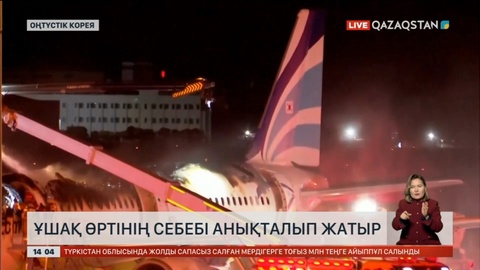 Оңтүстік Кореяда ұшақ өртінің себебі анықталып жатыр