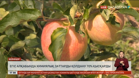 Егістікке химиялық заттарды қолдану 70% қысқарды