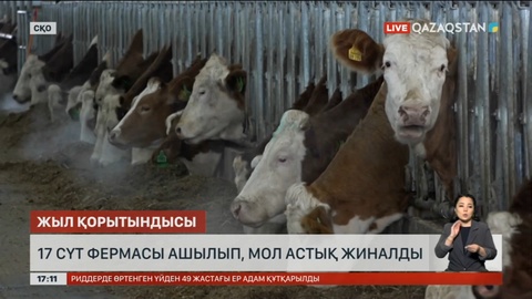 Былтыр Солтүстік Қазақстан облысында17 сүт фермасы ашылды