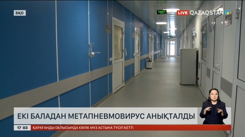 Солтүстік Қазақстан облысында 4 адамнан метапневмовирус анықталды
