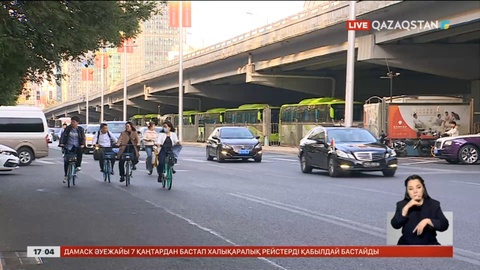 Қытайда метапневмовирус белең алды