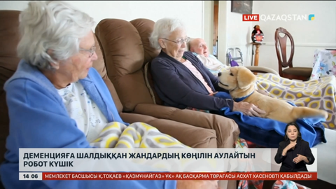 АҚШ-та деменцияға шалдыққан адамға робот күшік серік болады