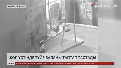 Атырау облысында жол үстінде түйе баланы таптап тастады