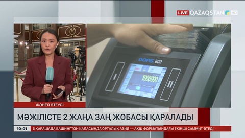 Мәжіліс банк қызметі мен ерекше балаларды қолдау жайлы заң жобаларын қарайды