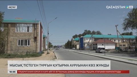 Маңғыстауда мысық тістеген тұрғын құтырма ауруынан көз жұмды  