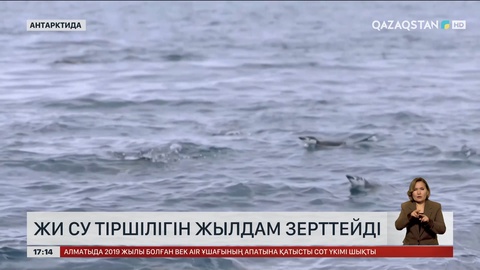 ЖИ теңіз астын тез зерттейді