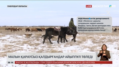 Павлодар облысында малын қараусыз қалдырғандар айыппұл төледі  