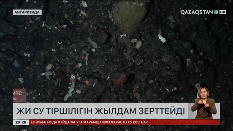  ЖИ су тіршілігін жылдам зерттейді