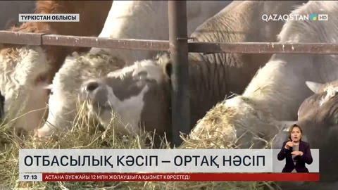 «Ауыл аманаты» бағдарламасымен жеңілдетілген несие алғандар жылыжай салып, тұрақты табыс табуда