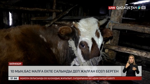 СҚО-да 10 мың бас малға екпе салынды деп өтірік есеп берген