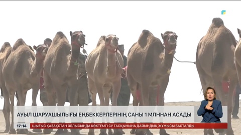 Ауыл шаруашылығы еңбеккерлерінің саны 1 млн-нан асады