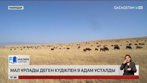 Павлодар облысында кәнігі ұрылар ұсталды