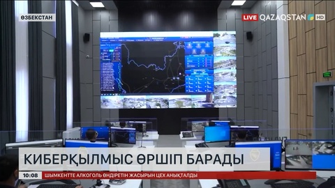 Өзбекстанда киберқылмыс өршіп барады  