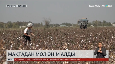 Түркістан облысының шаруалары мол мақта жинады