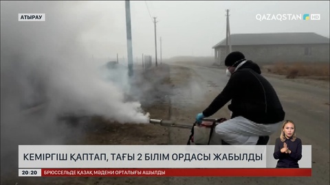 Атырау облысында кеміргіш қаптап, тағы екі білім ордасы жабылды