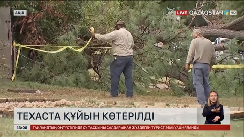 АҚШ-та торнадо ағаштарды тамырымен жұлып әкетті