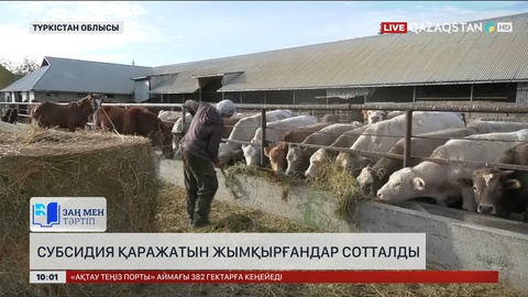 Түркістан облысында субсидия қаражатын жымқырғандар сотталды