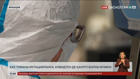  Құс тұмауы мутацияланса, COVID-19-дан да қауіпті болуы мүмкін 