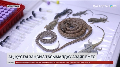 Өзбекстанда аң-құсты заңсыз тасымалдау азаяр емес