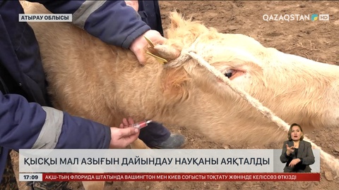 Атырау облысында қысқы мал азығы дайын болды