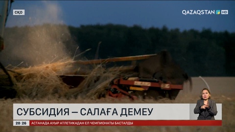 Субсидия – салаға демеу