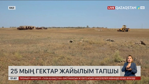 БҚО-да 25 мың гектар жайылым тапшы   