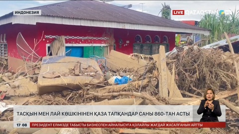 Индонезияда лай көшкіні құрбандары 867-ге жетті