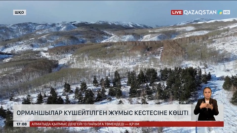 ШҚО орманшылары бақылауды күшейтті