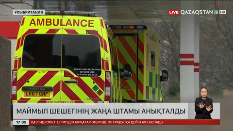 Англияда маймыл шешегінің жаңа түрі анықталды