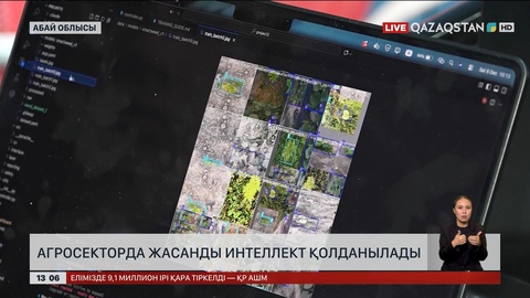 Абай облысында малды ЖИ бағуы мүмкін