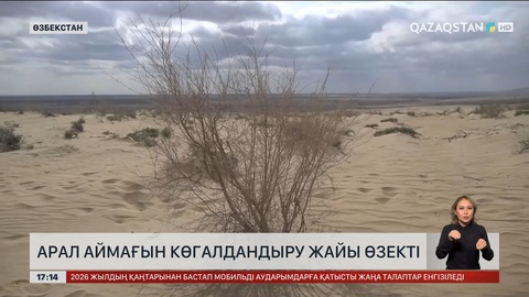 Арал аймағын көгалдандыру жайы өзекті 