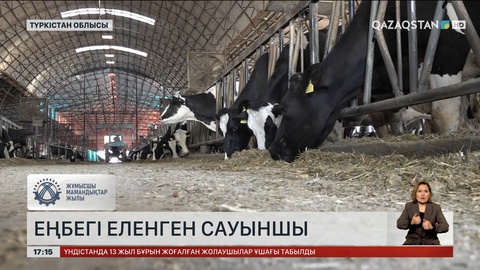 Үздік сауыншы Түркістан облысында