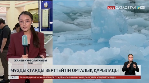 Сенат дәрігерлерді қорғайтын заңды мақұлдады