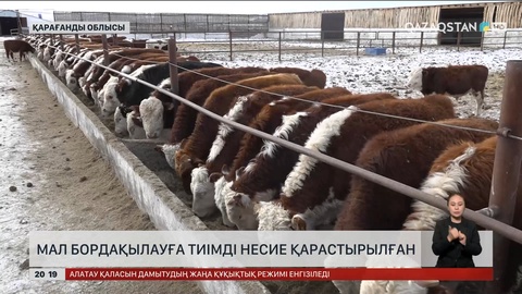 Мал бордақылауға тиімді несие қарастырылған