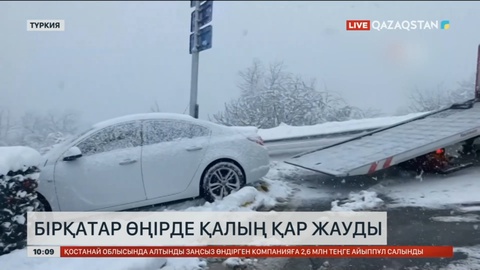 Түркияның бірқатар өңірінде қалың қар жауды