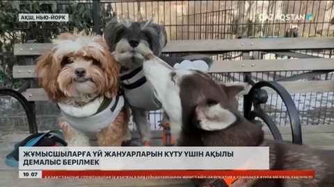 АҚШ-та жұмысшыларға үй жануарларын күту үшін ақылы демалыс берілмек