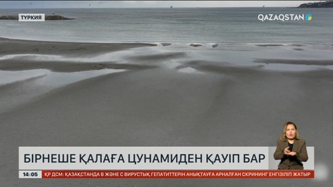 Түркияның бірнеше қаласы цунамиден сақтана бастады