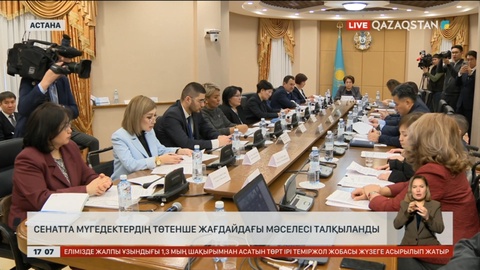 Мүгедектердің төтенше жағдайдағы мәселесі Сенатта талқыланды