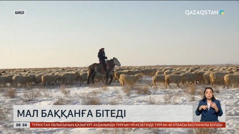 Елімізде шопан мен бақташы тапшы