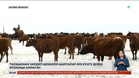 Ақтөбеде тасқыннан зардап шекккен шаруалар әлі күнге дейін өтемақы алмаған