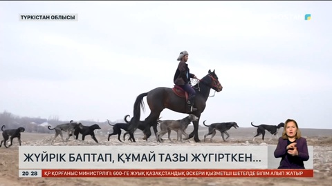 Түркістандық тұрғын саятшылықты серік еткен