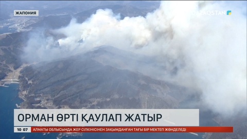 Жапонияда орман өртінен бір адам қаза тапты