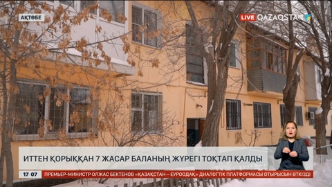 Ақтөбеде иттен қорыққан жеті жастағы баланың жүрегі тоқтап қалды