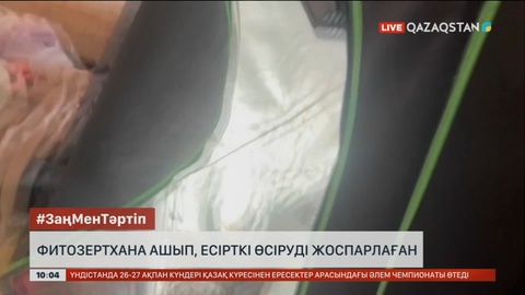 Ақмола облысының тұрғыны фитозертхана ашып, есірткі өсіруді жоспарлаған