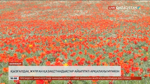 Қызғалдақ жұлған қазақстандықтар айыппұл арқалауы мүмкін