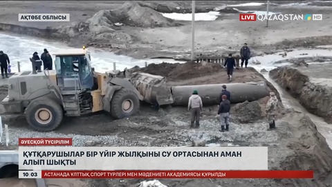 Құтқарушылар бір үйір жылқыны су ортасынан аман алып шықты